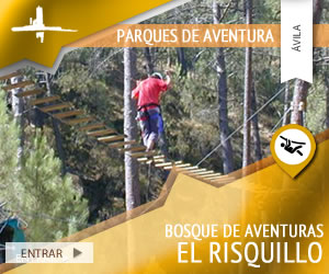 bosque-de-aventuras-pinos-cimeros