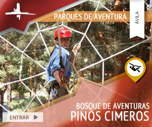 bosque-de-aventuras-pinos-cimeros