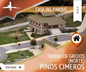 casa-del-parque-de-sierra-de-gredos-zona-norte-pinos-cimeros
