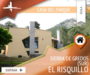 casa-del-parque-de-sierra-de-gredos-zona-sur-el-risquillo