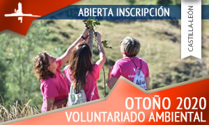 Voluntariado ambiental