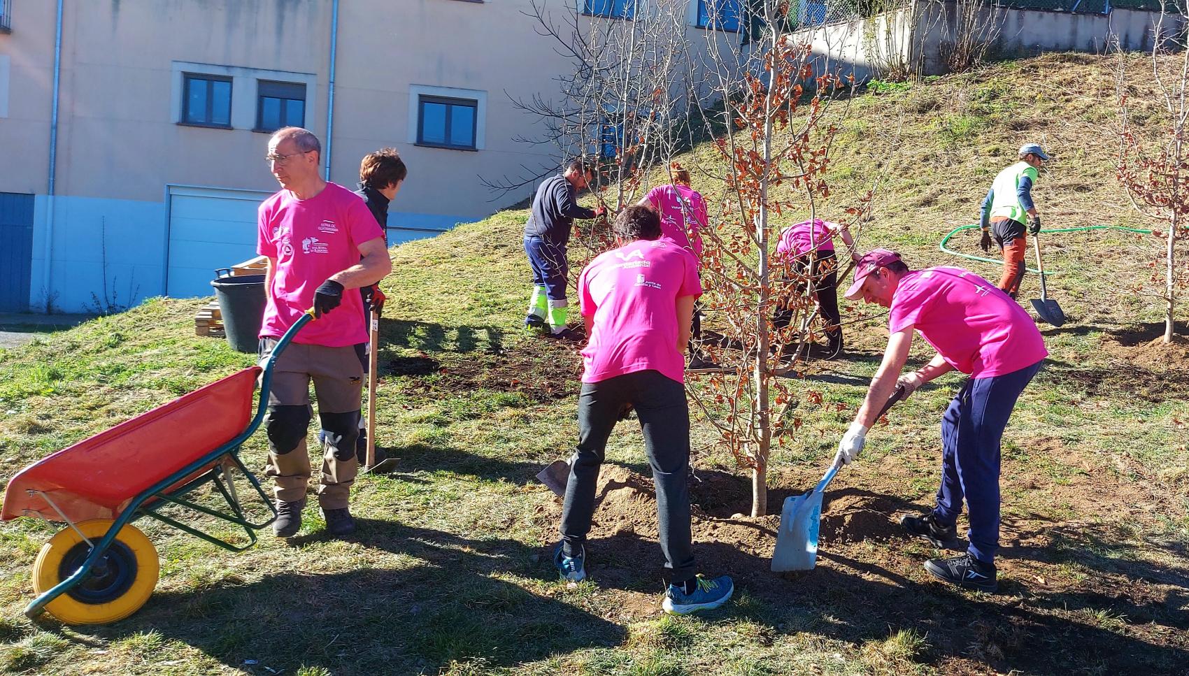 “Voluntariado ambiental de plantación de árboles