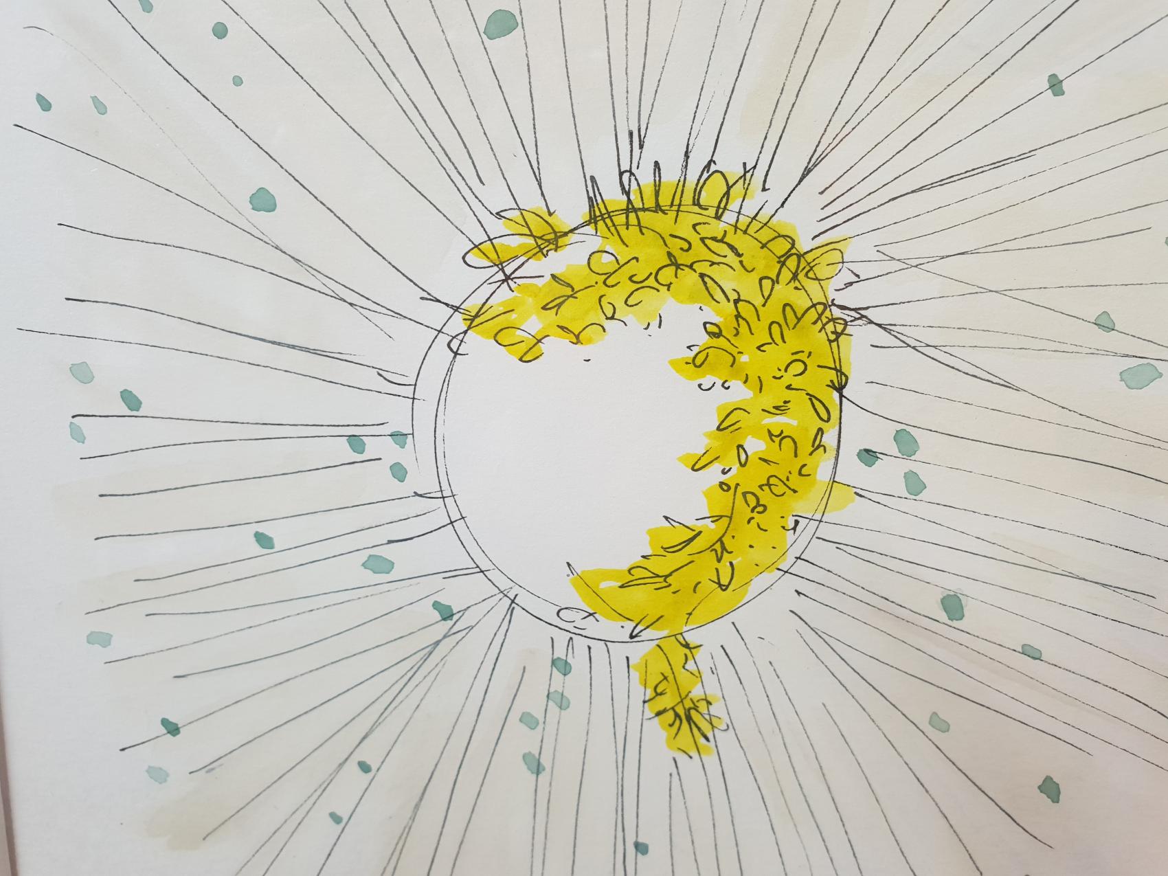 Exposición Acuarelas florales.