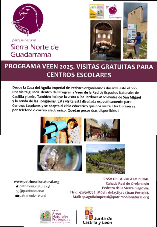PROGRAMA VEEN OTOÑO
