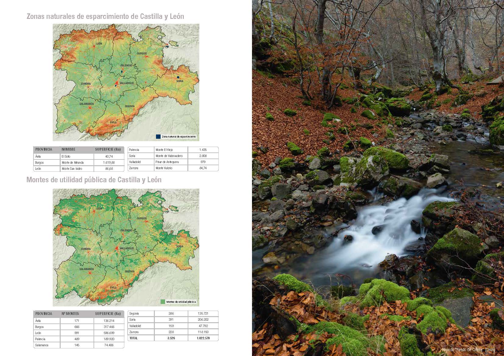 Las áreas naturales protegidas de Castilla y León, recogidas en un libro didáctico y de consulta