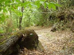 EXPERIENCIAS EN LA NATURALEZA: CAMINO DE LA DEHESA. MOGARRAZ