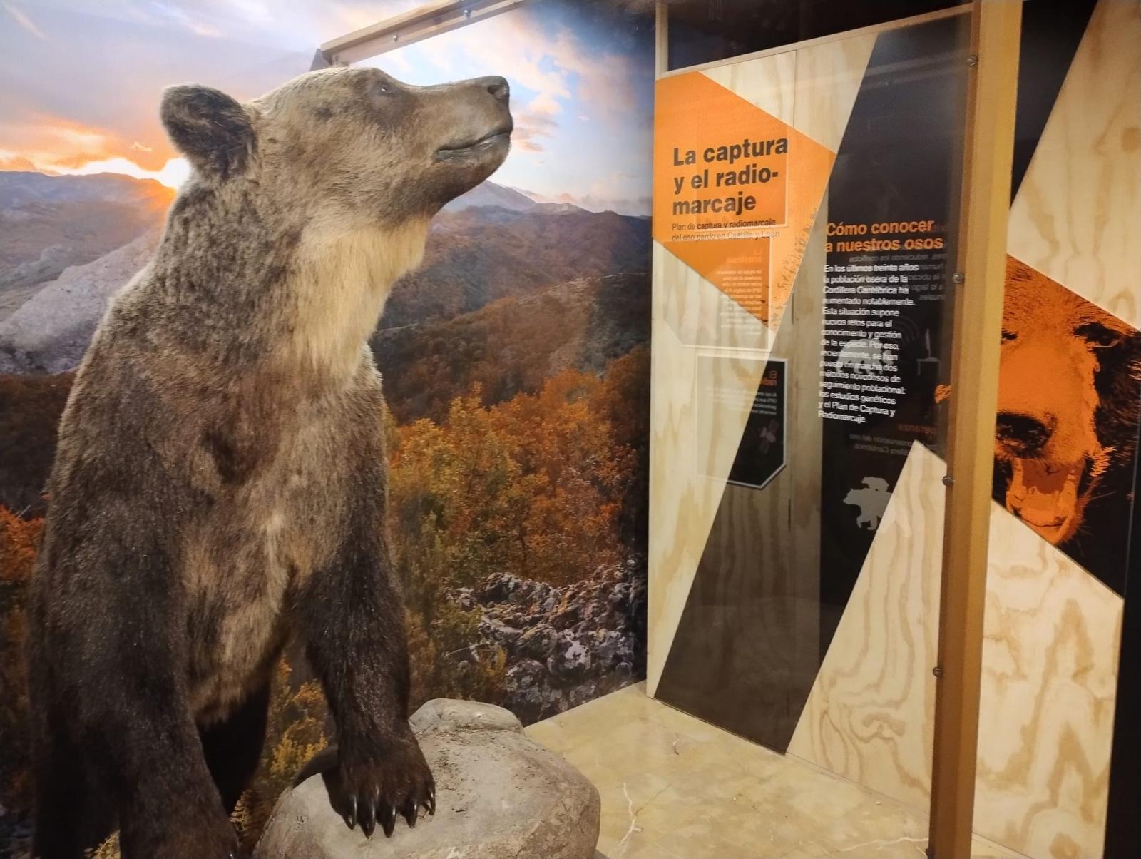 La Junta prepara un programa con actividades singulares para conmemorar el 25 aniversario de la declaración del Parque Natural de la Montaña Palentina como espacio natural protegido