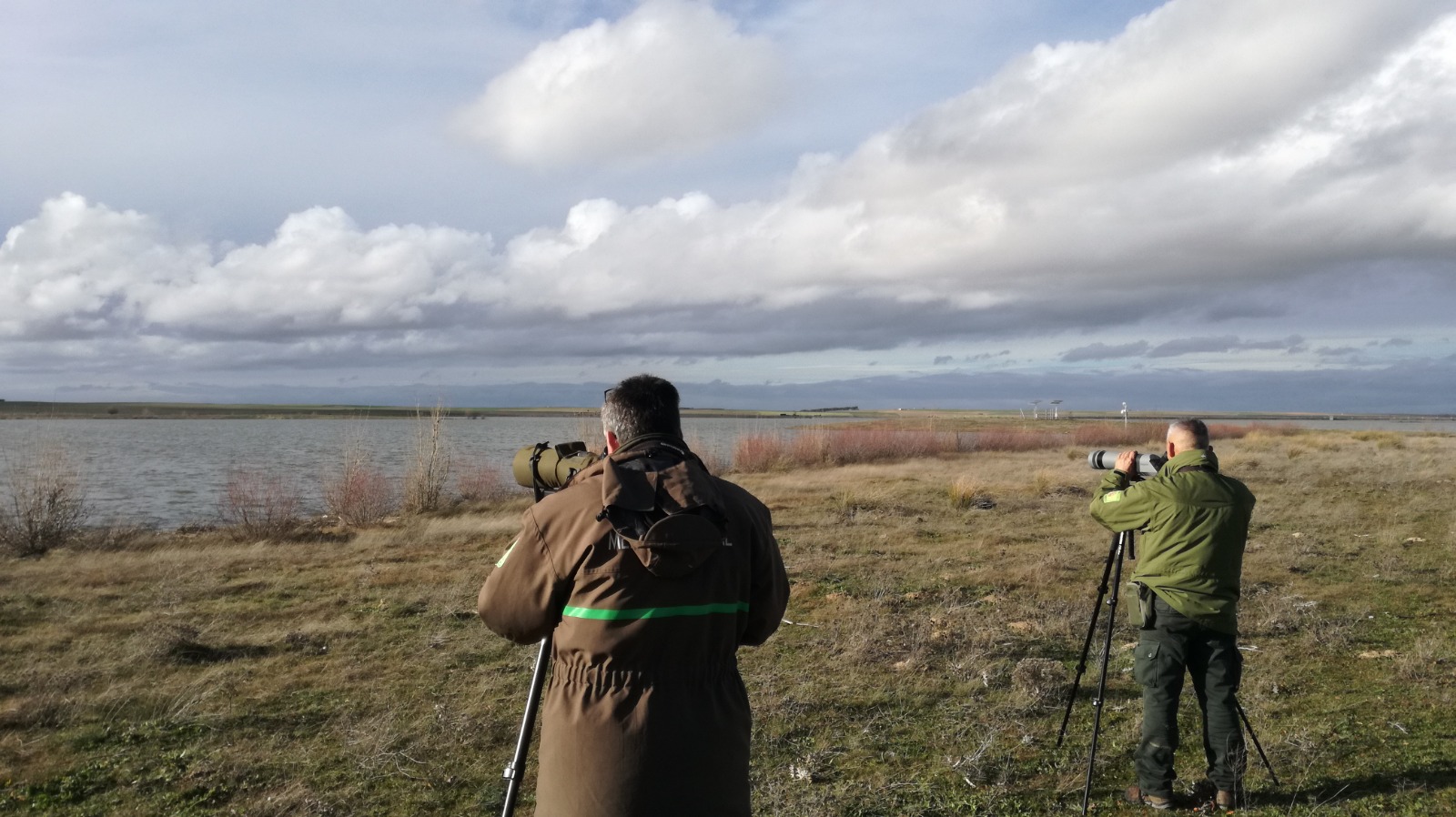 Castilla y León realiza un nuevo censo para conocer el estado de conservación de las aves acuáticas invernantes en la Comunidad