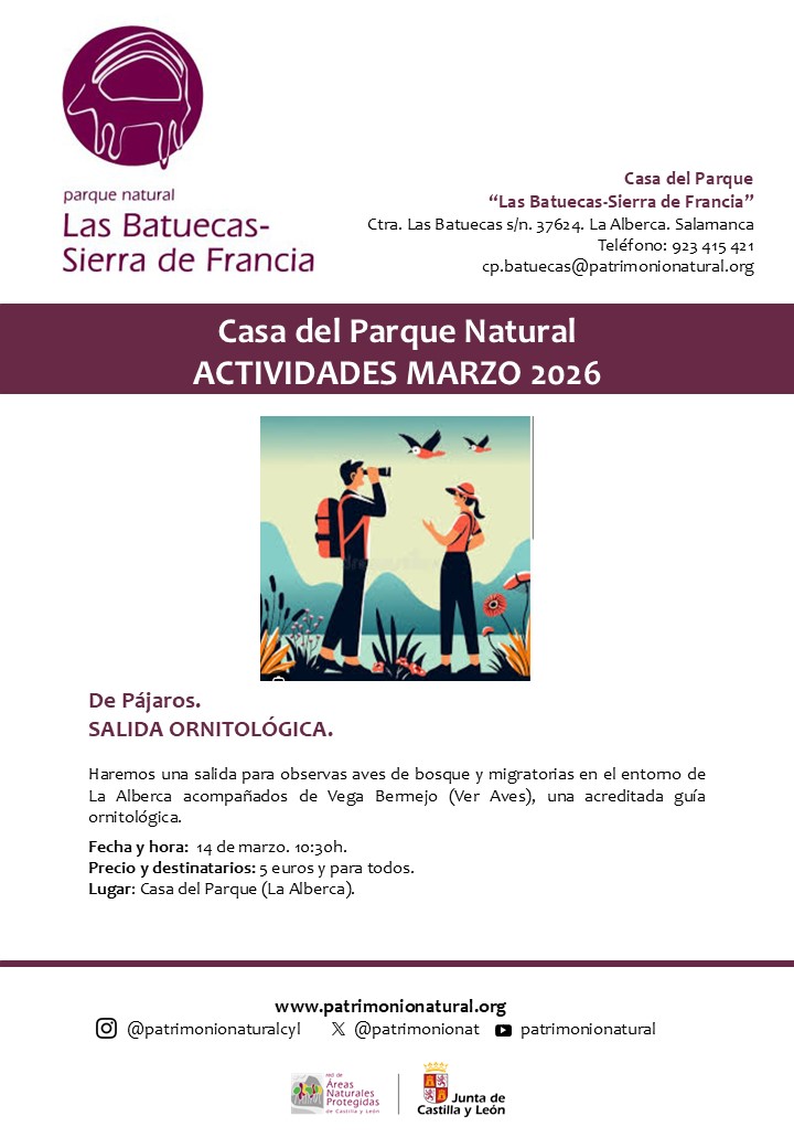 Salida a ver aves del entorno