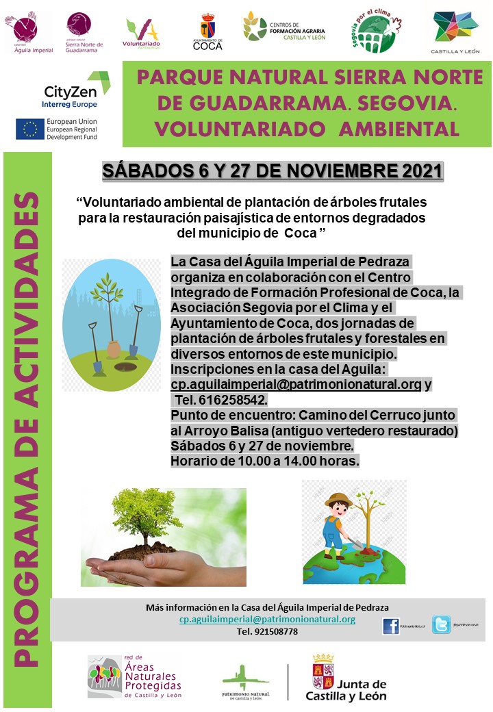 Voluntariado ambiental en Coca (Segovia)