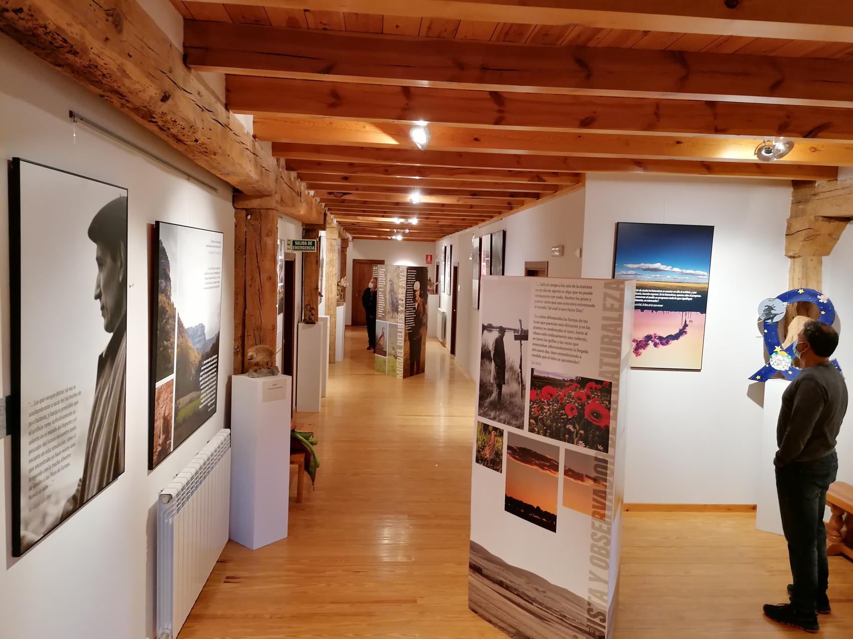 exposicion miguel delibes