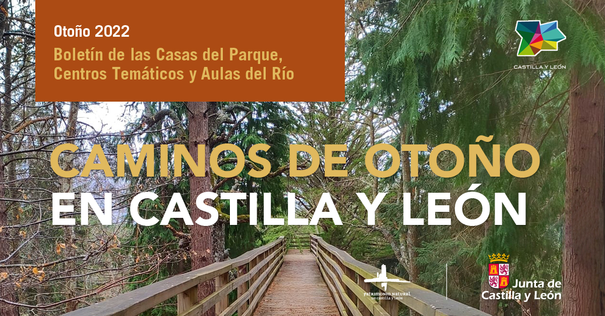 La naturaleza es especial en el otoño en Castilla y León