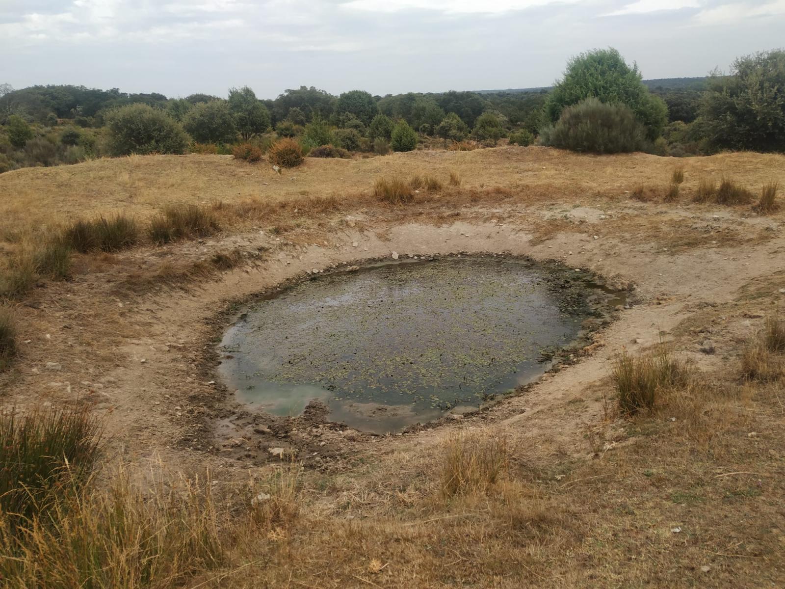 La Junta mejorará puntos de agua en el parque natural ‘Arribes del Duero’ para la conservación de la biodiversidad con una inversión de más de 240.000 euros