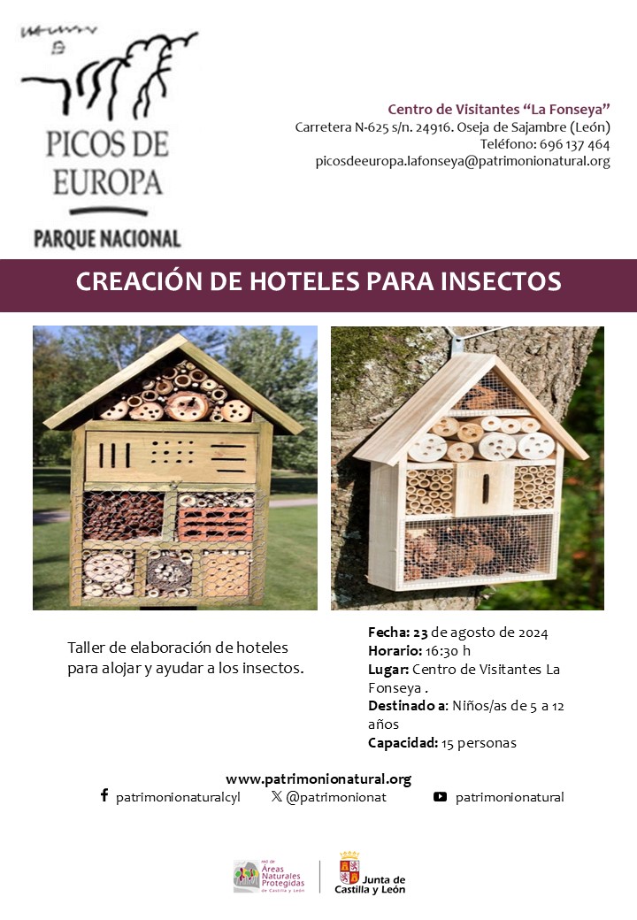 Creación  de hoteles para insectos