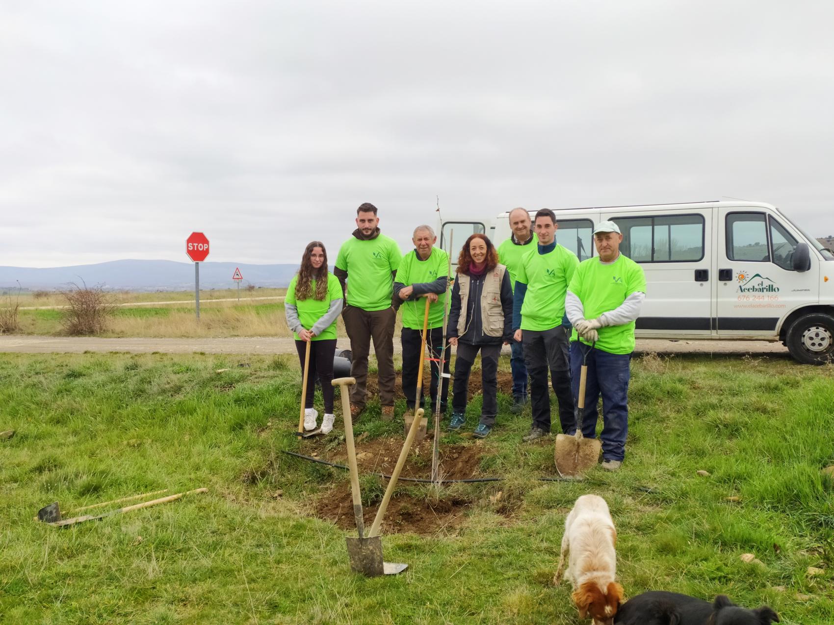 VOLUNTARIADO AMBIENTAL 
