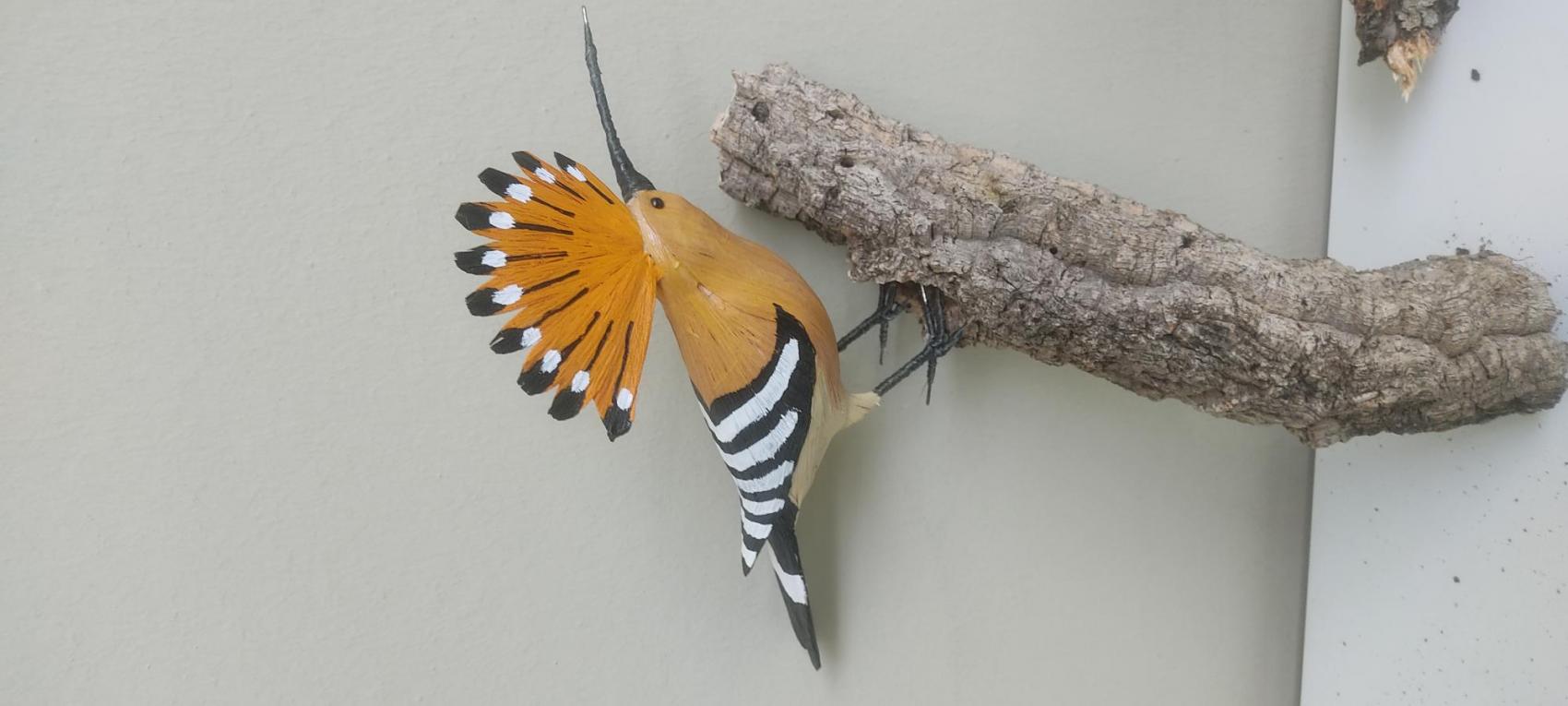 TALLERES DE EDUCACIÓN AMBIENTAL: “UNA MIRADA AL MUNDO DE LAS AVES”