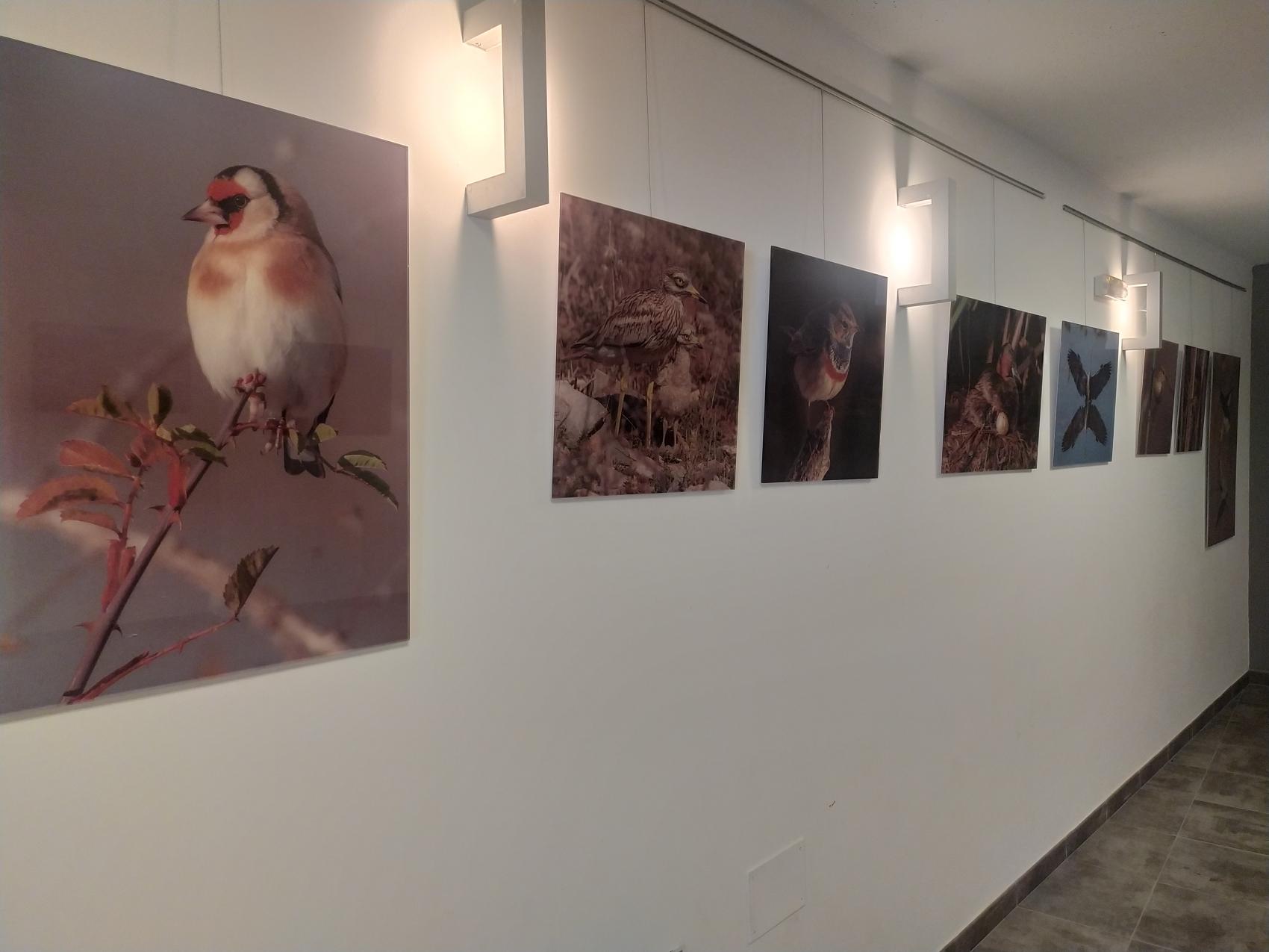 EXPOSICIÓN FOTOGRÁFICA DE FAUNA 