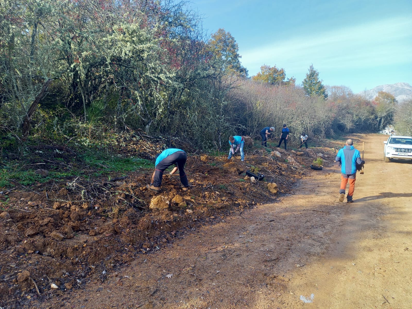 Voluntariado ambiental marzo 2025