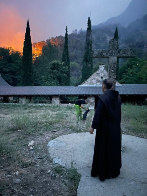VOLUNTARIADO: PLANTACION EN EL VALLE DE BATUECAS