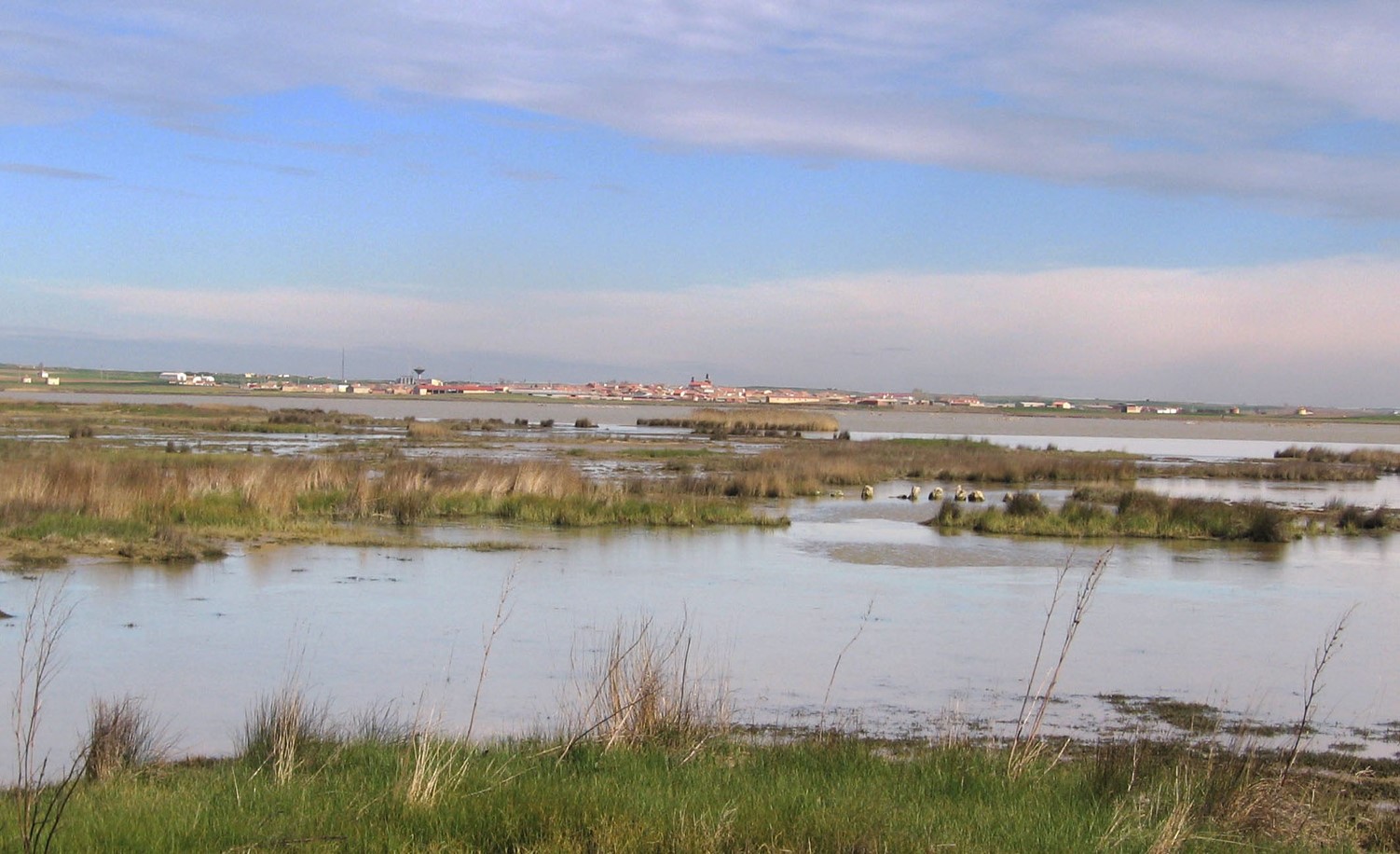Día Mundial de las Aves Migratorias 2025