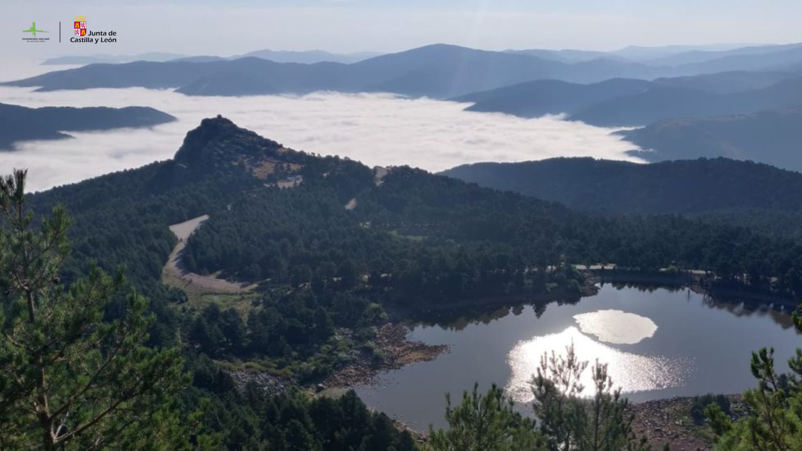 La Junta restaurará las dehesas de roble de las Lagunas de Neila