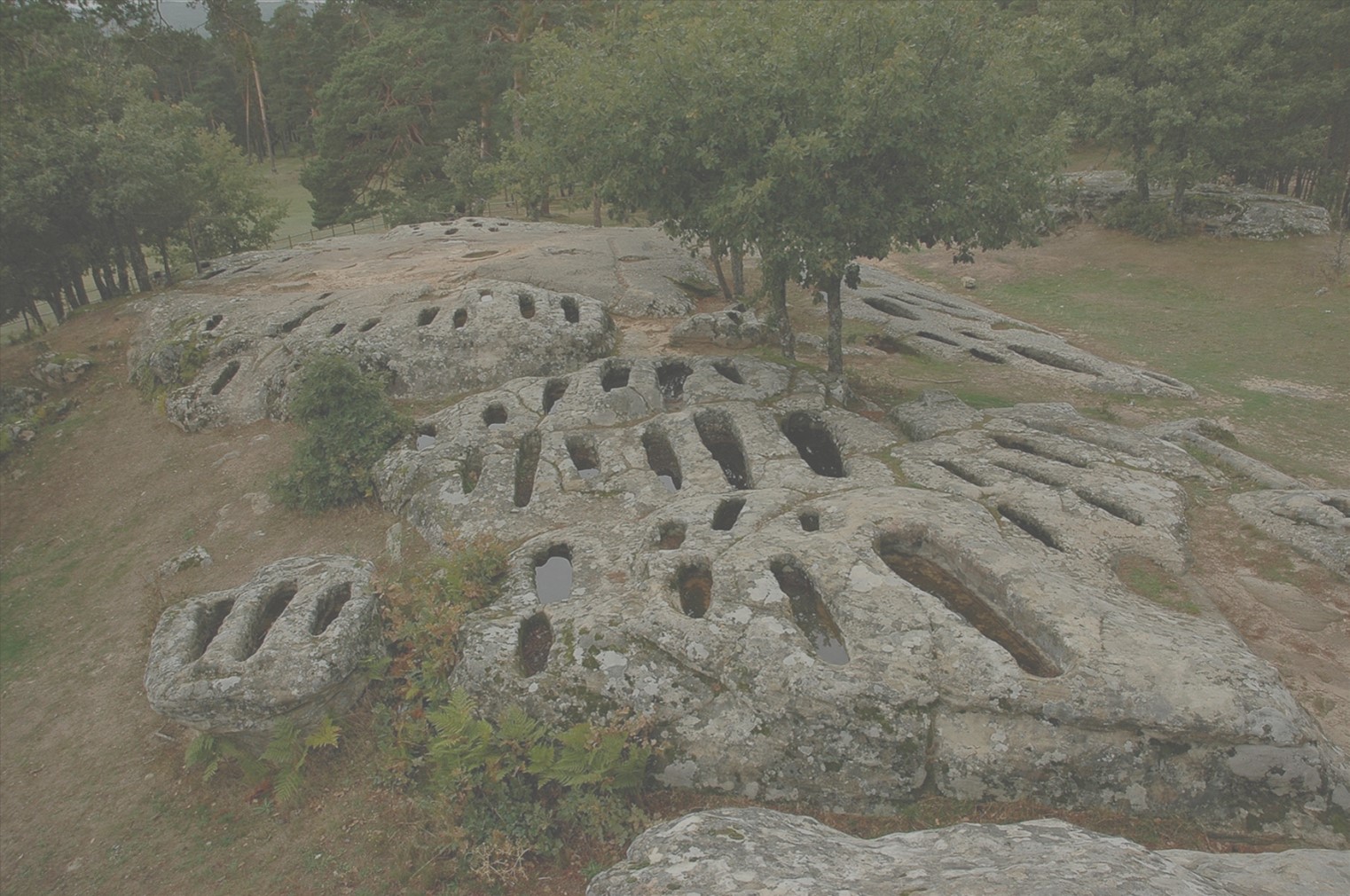 PRESENTACIÓN DE RESULTADOS DE LAS EXCAVACIONES EN REVENGA