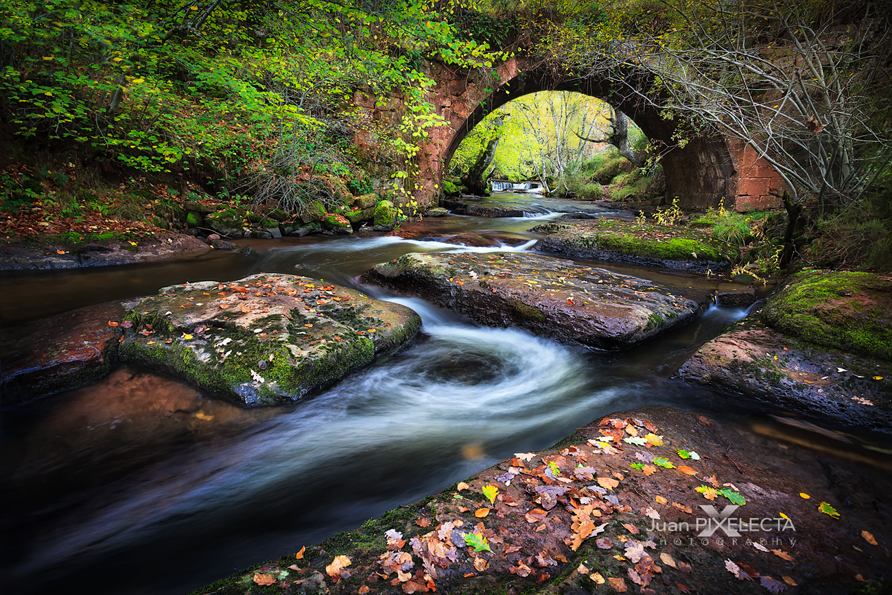 Ruta interpretada: Senda del Monte Mayor