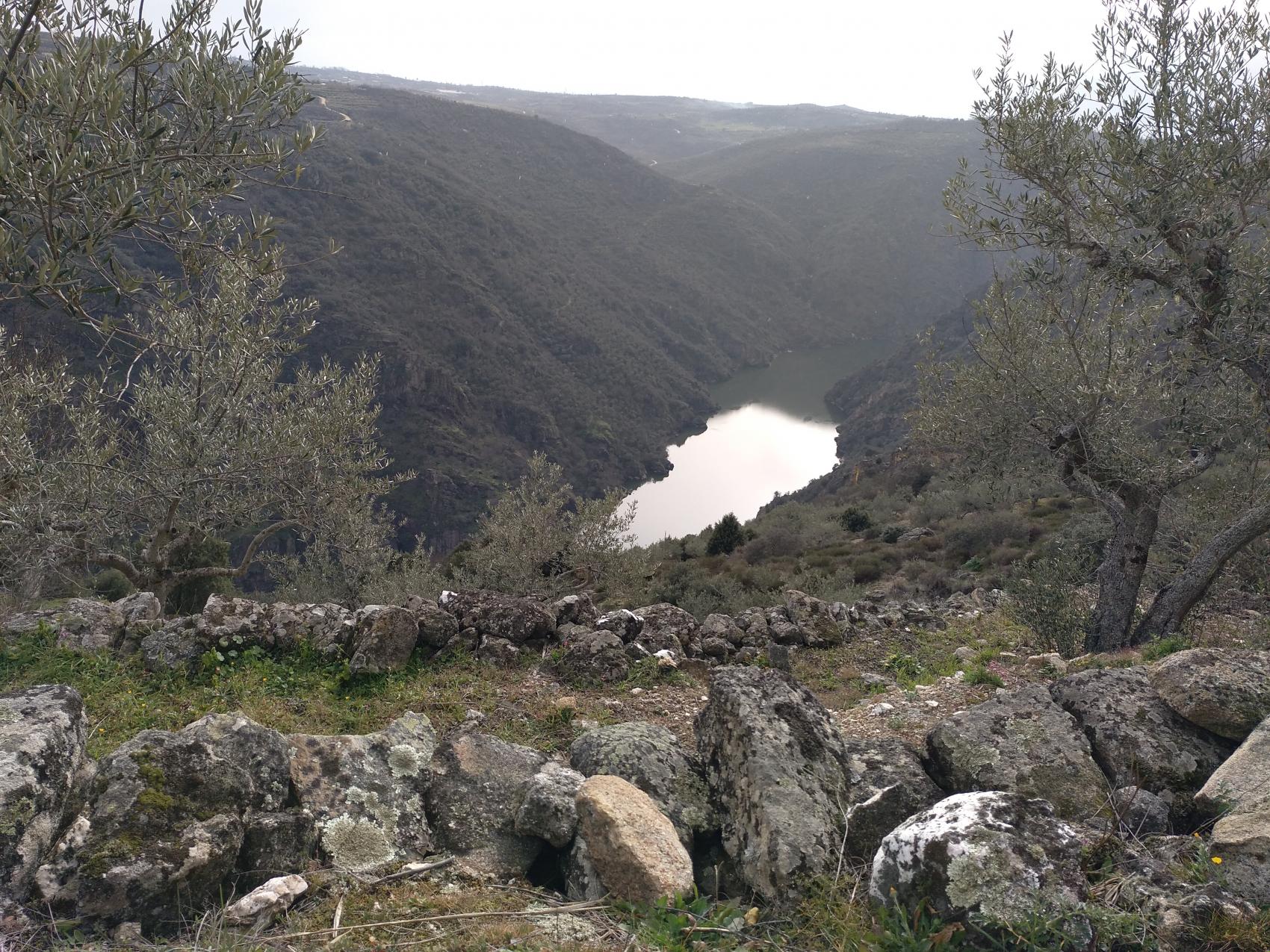 Día Mundial de los Humedales