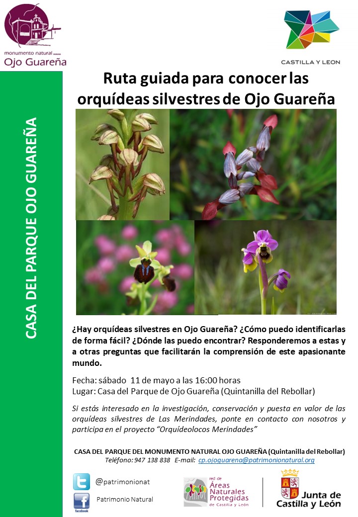 RUTA GUIADA PARA VER ORQUÍDEAS SILVESTRES EN OJO GUARENA