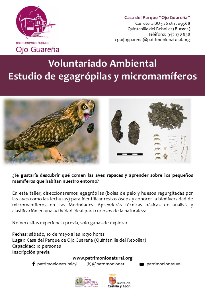 Voluntariado Ambiental Estudio de Egagrópilas de Ojo Guareña