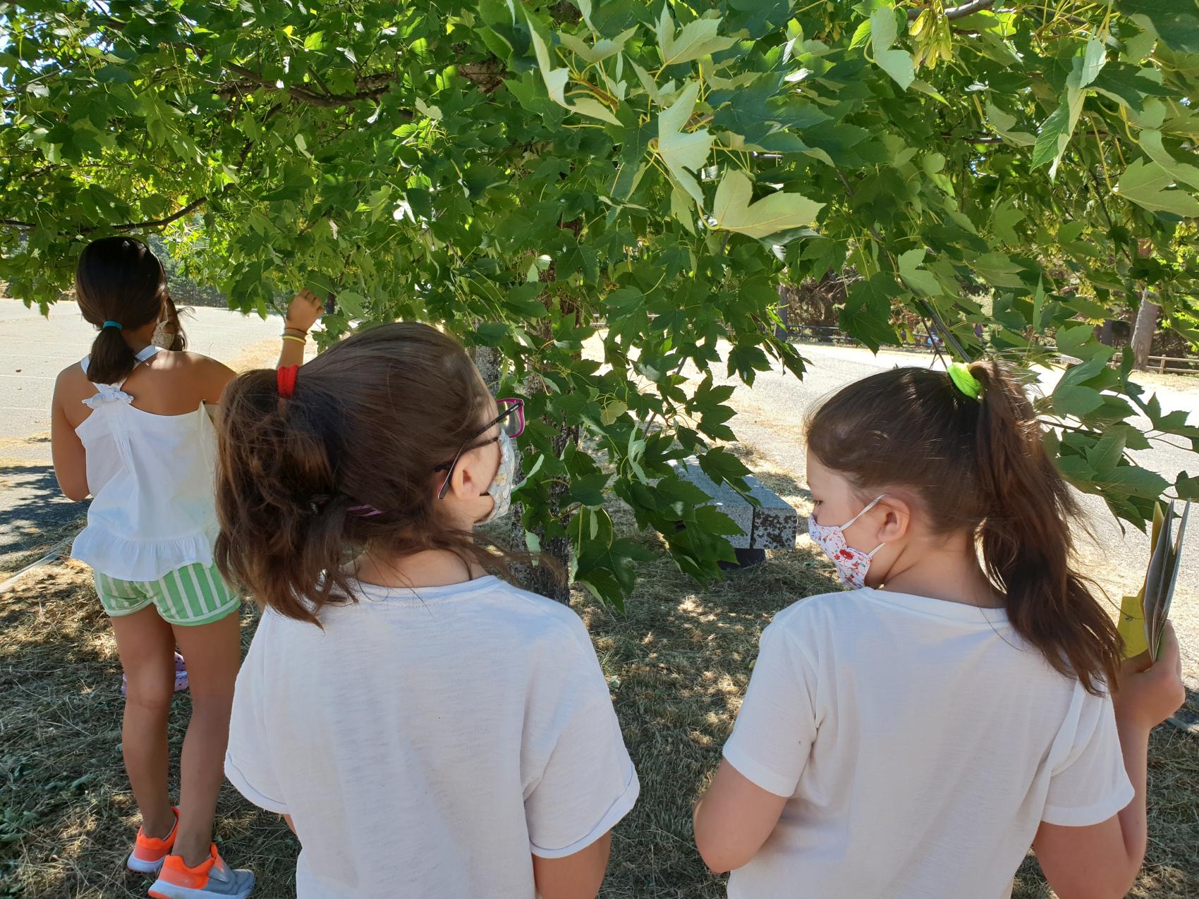 Botánico por un día