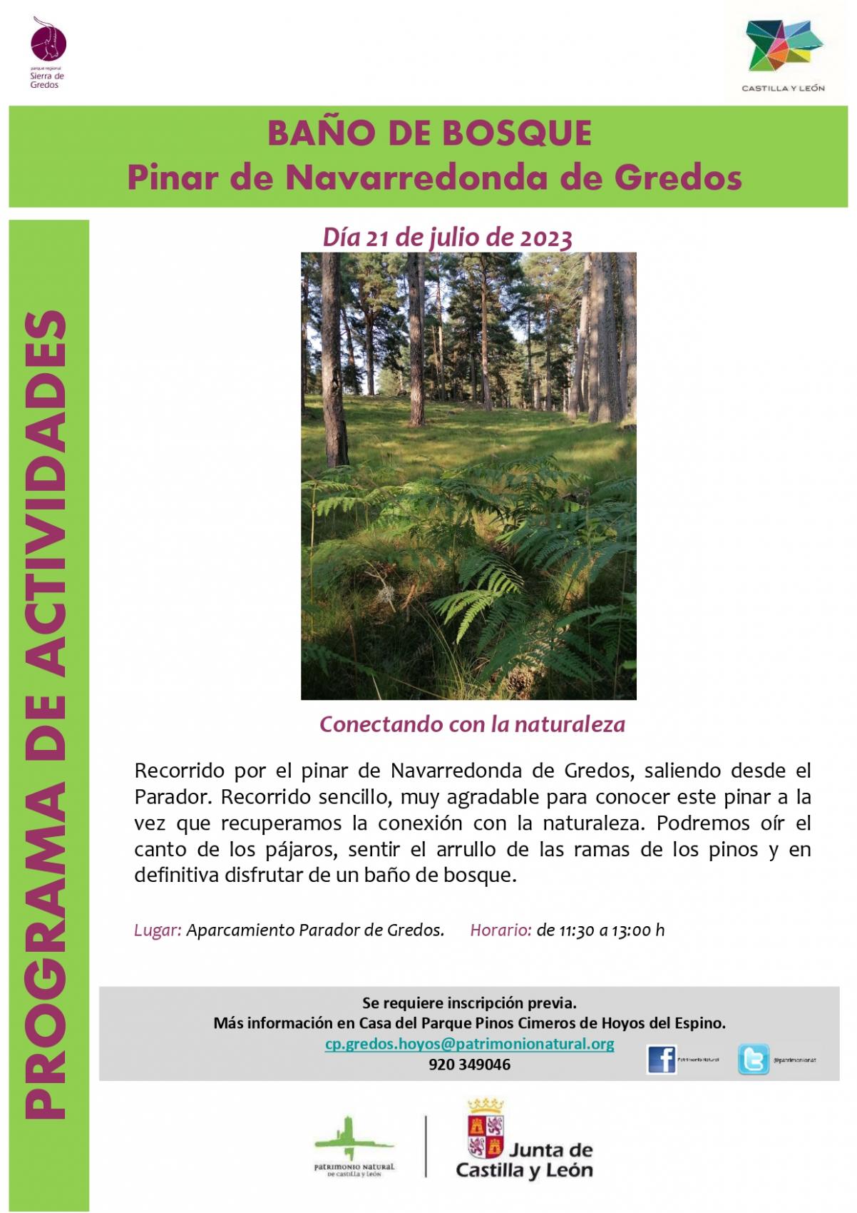 Baño de bosque en Gredos