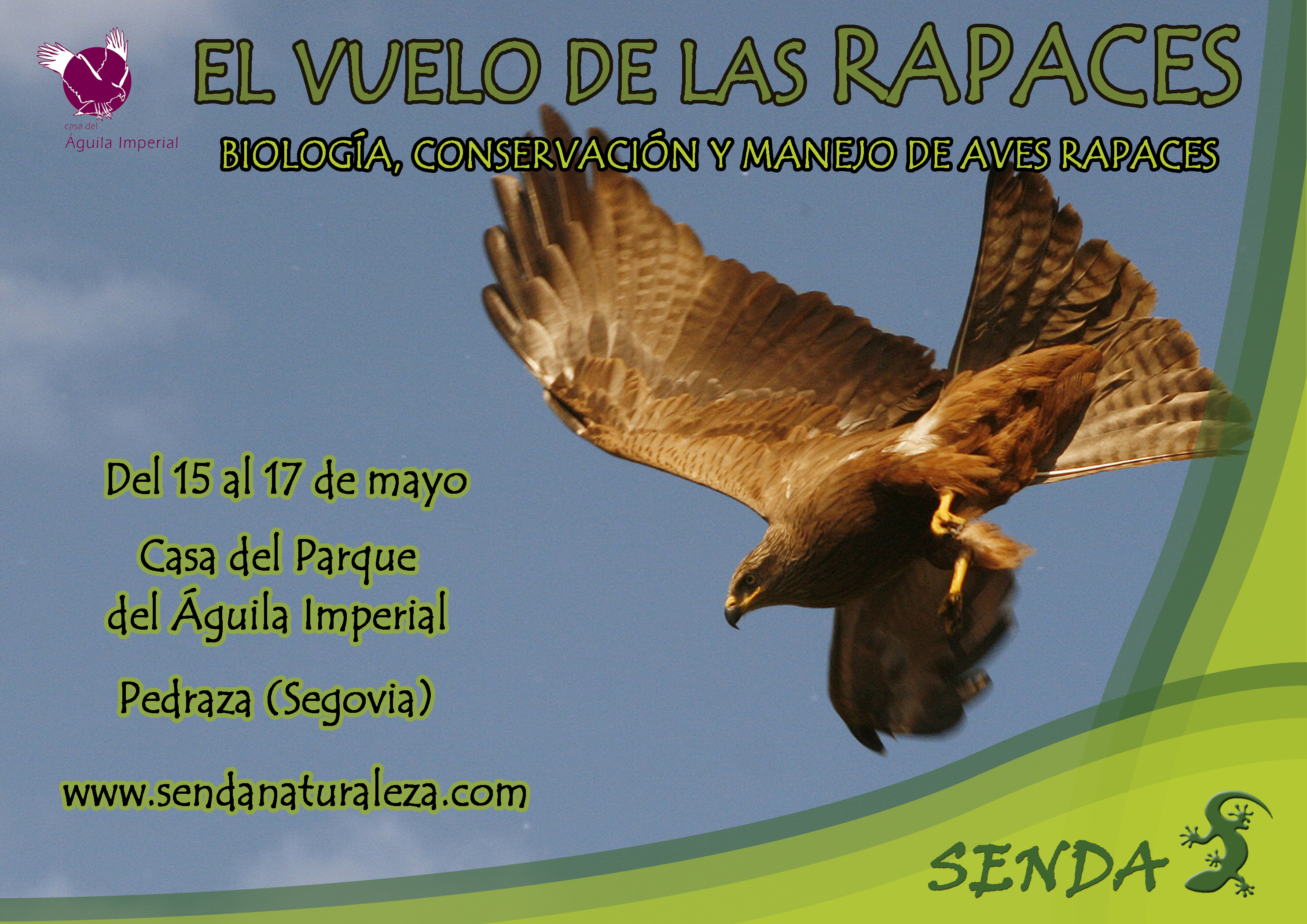 Patrimonio Natural de Castilla y León | Noticias | El Centro del Águila  Imperial organiza el curso “El Vuelo de las rapaces”