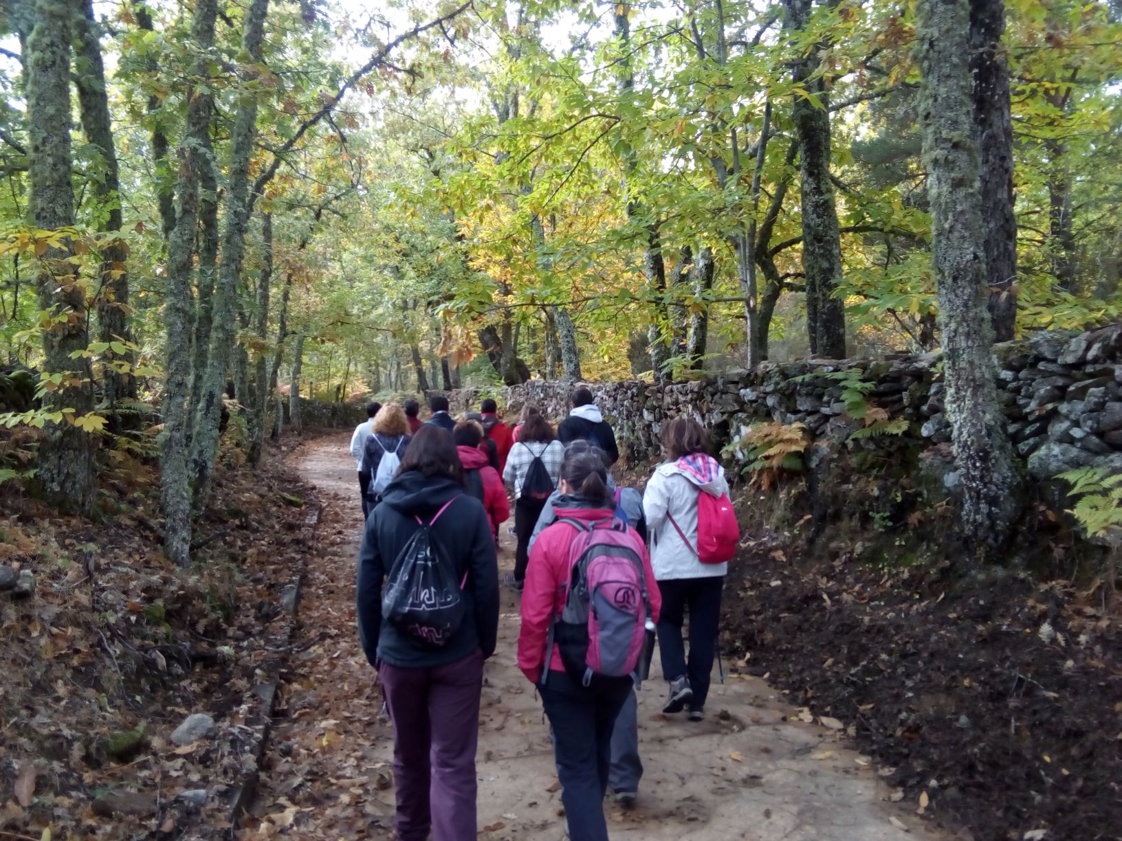 Experiencia en la Naturaleza 