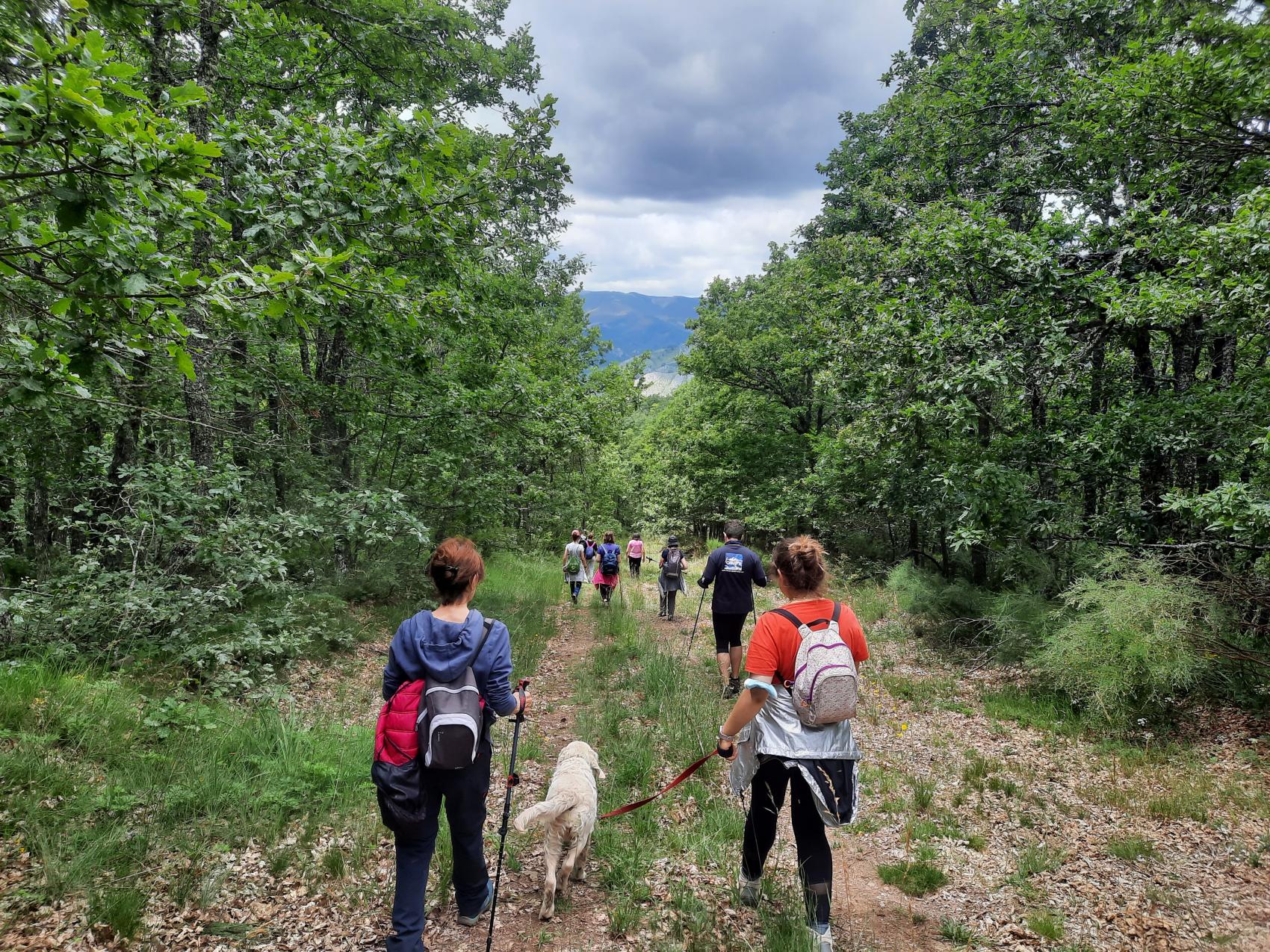 Ruta guiada por el robledal de Las Secadas