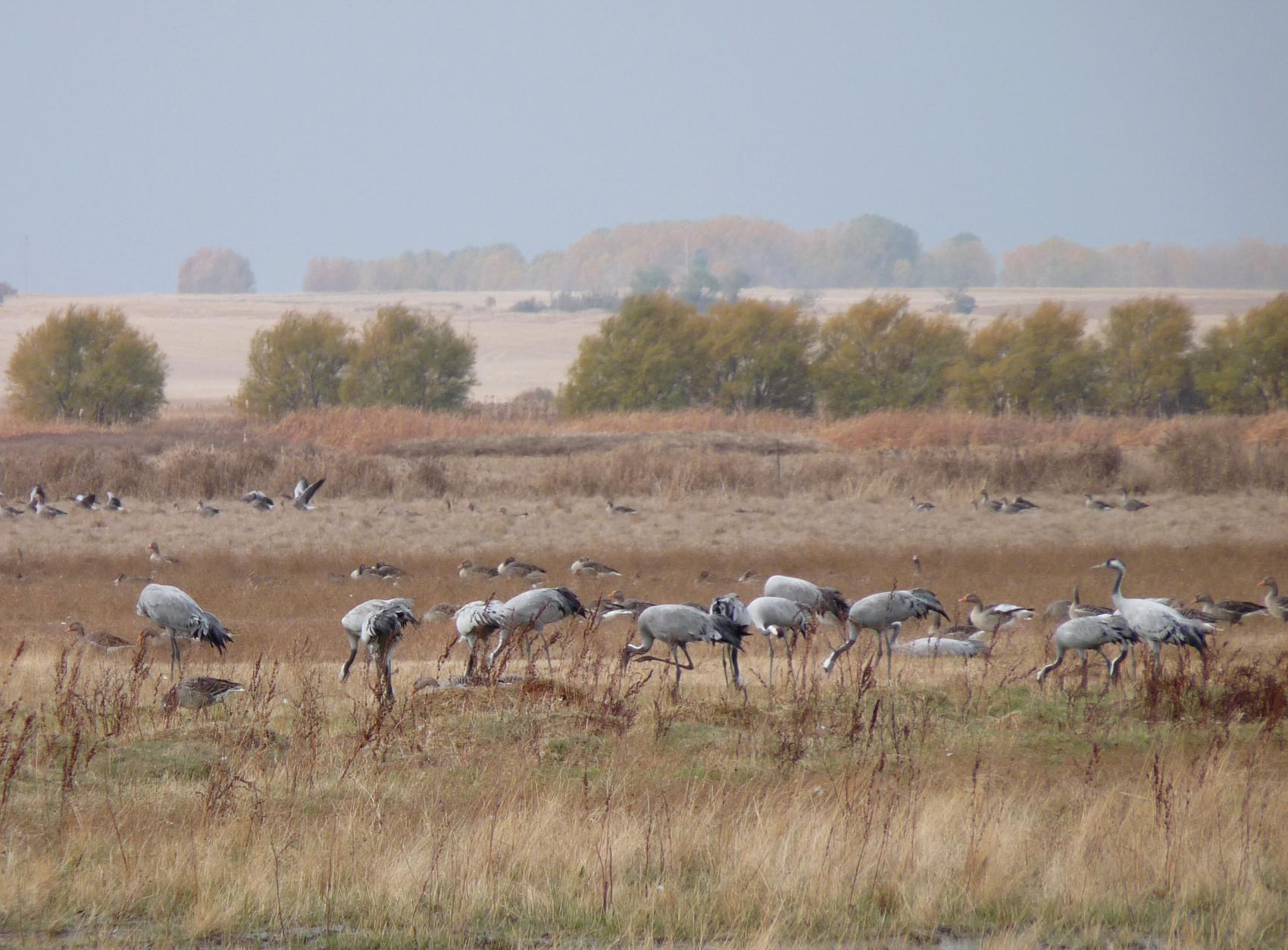 Agosto. Cultura y tradición