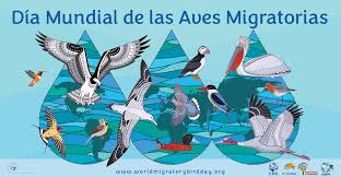 TALLER MEDIOAMBIENTAL DIA MUNDIAL DE LAS AVES MIGRATORIAS