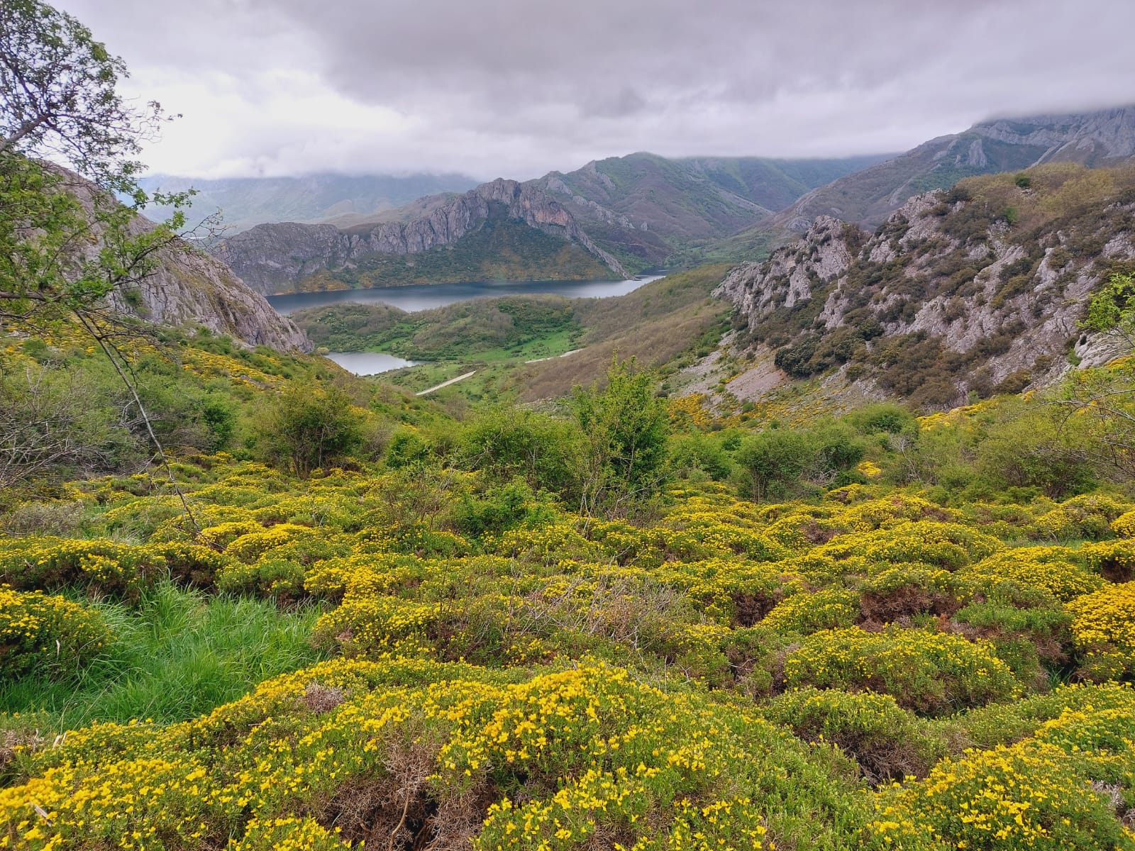 RUTA INTERPRETADA POR EL BOSQUE DE BARBERANTE
