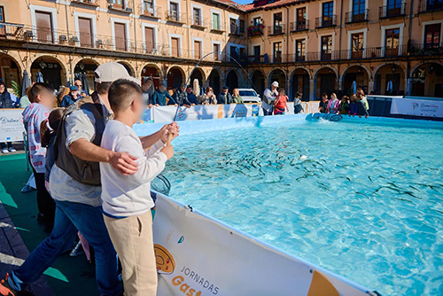 ¿Quieres aprender a pescar truchas en Valladolid?