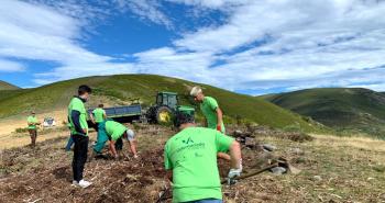 Actividad de Voluntariado en el año 2025