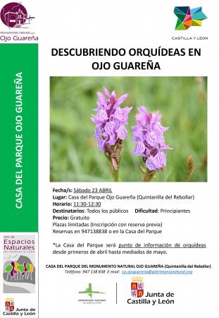 Descubriendo Orquideas