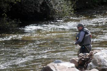 Un pescado en un río leonés