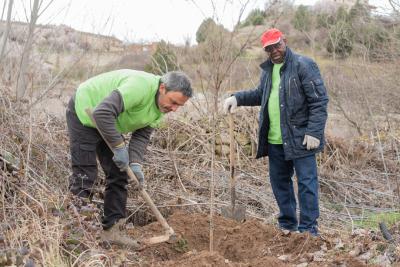 Voluntariado ambiental de plantación en Maderuelo