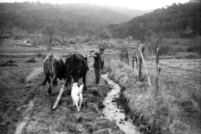 LA VIDA EN LA SIERRA DE ANTES. ÁLBUM FAMILIAR