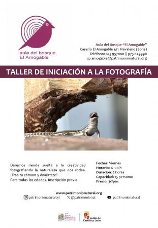 Pasea, observa y fotografía!