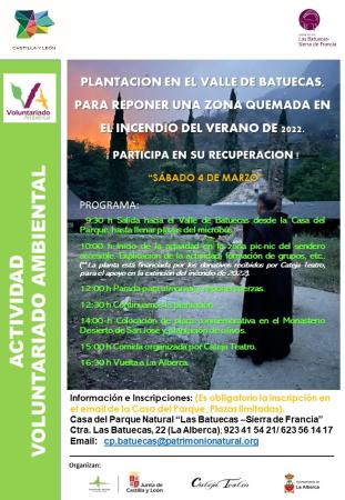 VOLUNTARIADO: PLANTACION EN EL VALLE DE BATUECAS