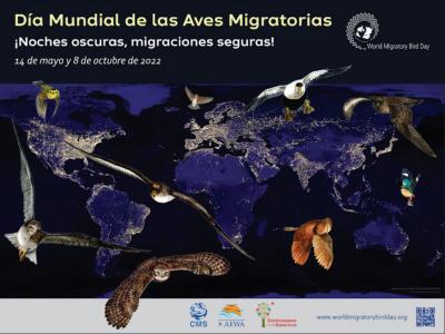 Celebración del Día Mundial de las Aves Migratorias