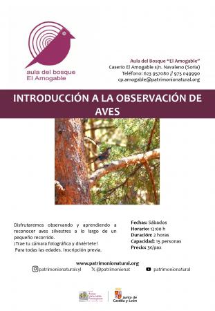Introducción a la observación y reconocimiento de aves