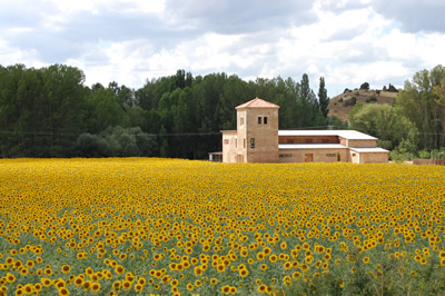 La Casa del Parque del Sabinar, seleccionada por el Ministerio para acoger los campamentos de verano ‘mediterraneamos’