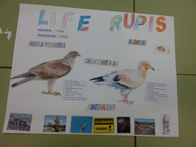 El proyecto Life Rupis comienza con su programa de educación ambiental